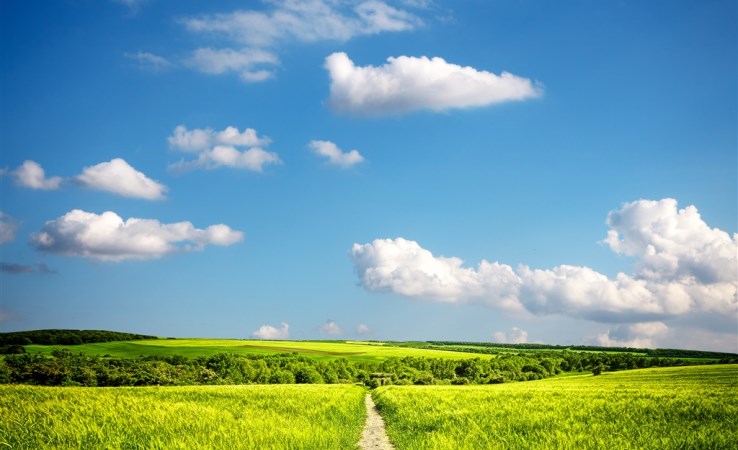 działka na wynajem - Dobrcz, Strzelce Dolne